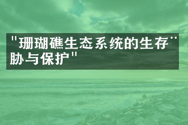 "珊瑚礁生态系统的生存威胁与保护"
