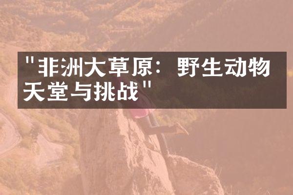 "非洲大草原：野生动物的天堂与挑战"