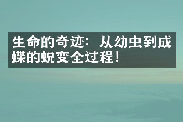 生命的奇迹：从幼虫到成蝶的蜕变全过程！