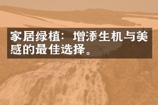 家居绿植：增添生机与美感的最佳选择。