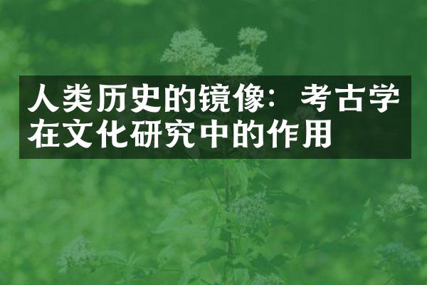 人类历史的镜像：考古学在文化研究中的作用