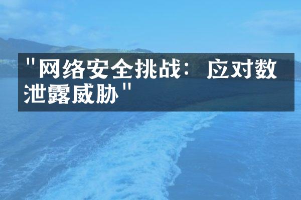 "网络安全挑战：应对数据泄露威胁"