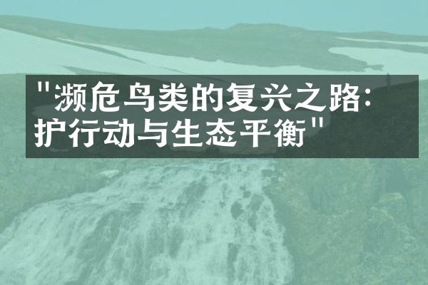 "濒危鸟类的复兴之路：保护行动与生态平衡"