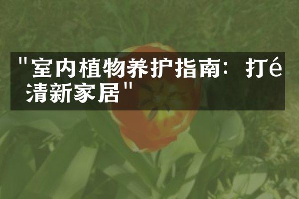 "室内植物养护指南：打造清新家居"