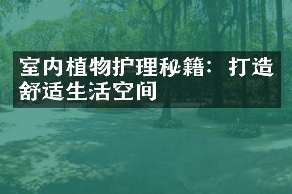 室内植物护理秘籍：打造舒适生活空间