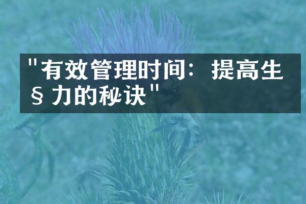 "有效管理时间：提高生产力的秘诀"