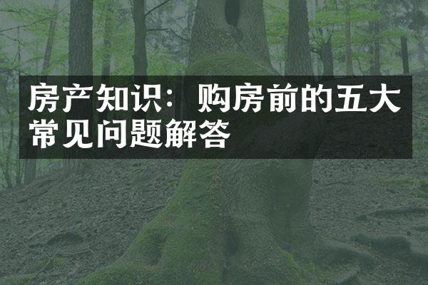 房产知识：购房前的五大常见问题解答