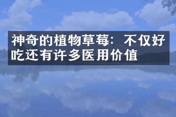 神奇的植物草莓：不仅好吃还有许多医用价值