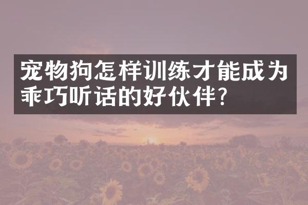 宠物狗怎样训练才能成为乖巧听话的好伙伴？