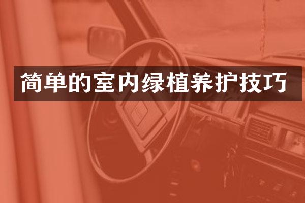 简单的室内绿植养护技巧