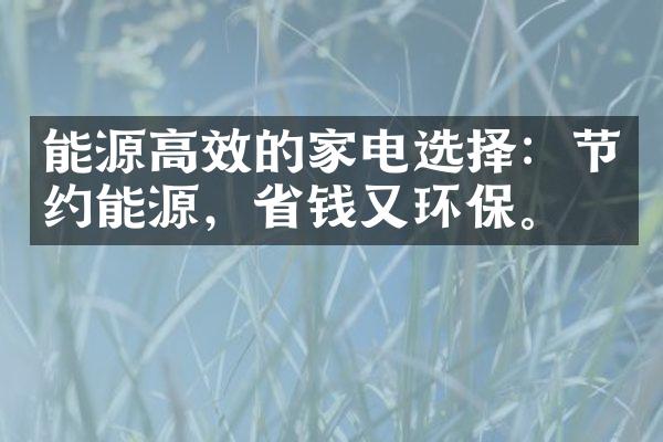 能源高效的家电选择：节约能源，省钱又环保。