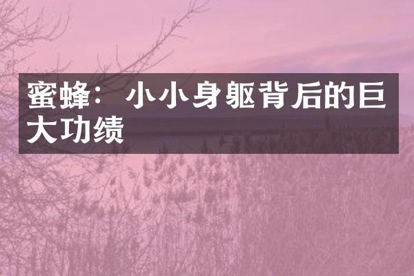 蜜蜂：小小身躯背后的巨大功绩