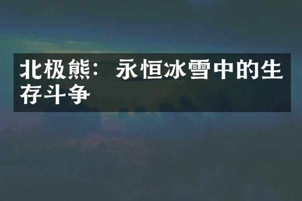 北极熊：永恒冰雪中的生存斗争