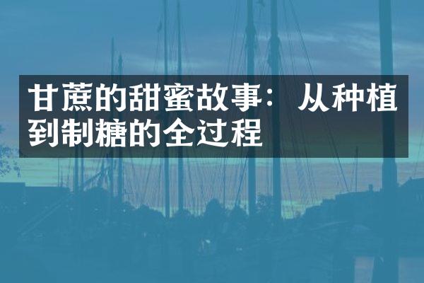 甘蔗的甜蜜故事：从种植到制糖的全过程