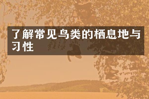 了解常见鸟类的栖息地与习性