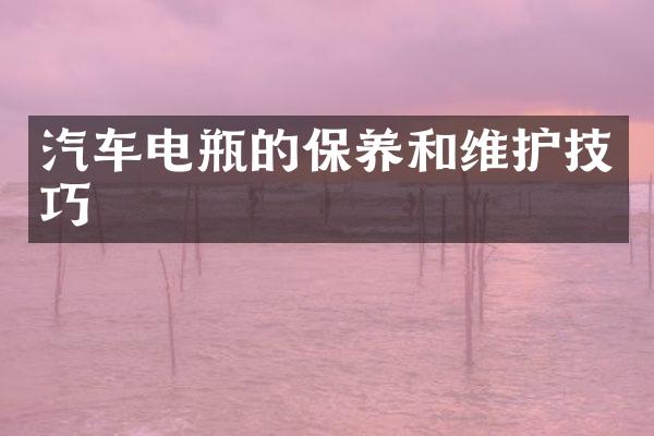 汽车电瓶的保养和维护技巧