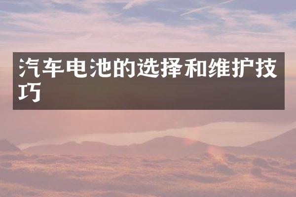 汽车电池的选择和维护技巧