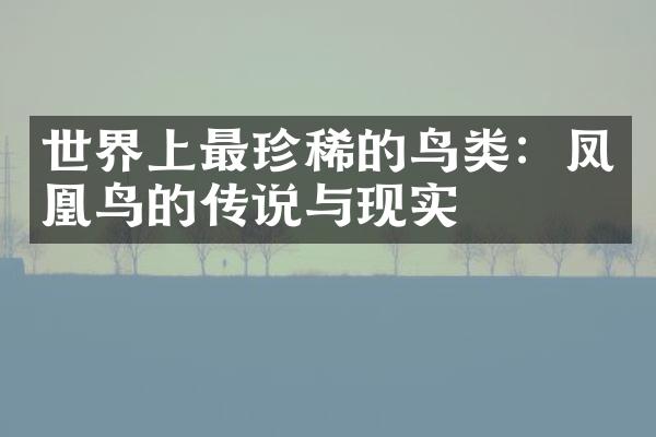 世界上最珍稀的鸟类：凤凰鸟的传说与现实