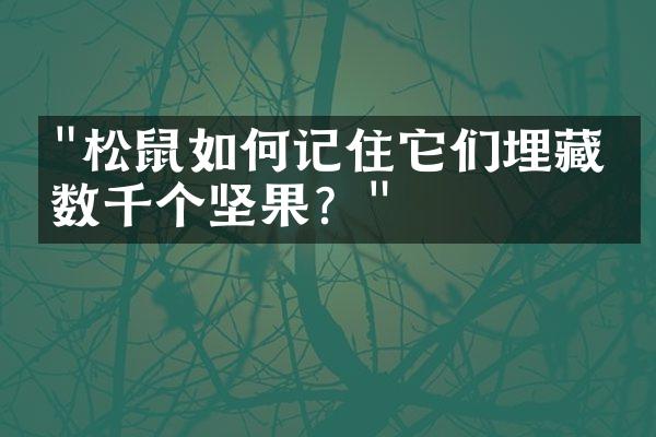 "松鼠如何记住它们埋藏的数千个坚果？"