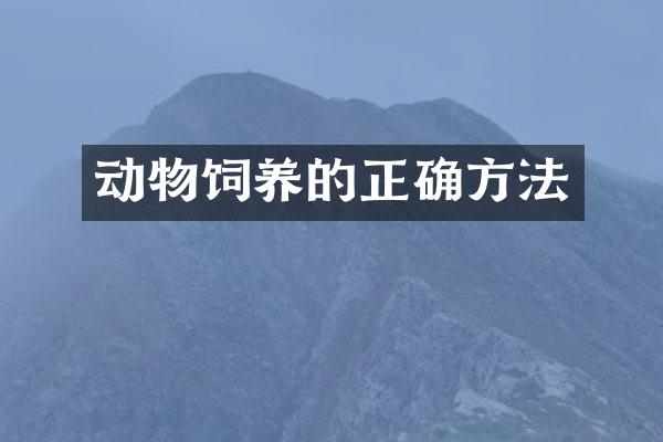 动物饲养的正确方法