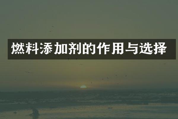 燃料添加剂的作用与选择