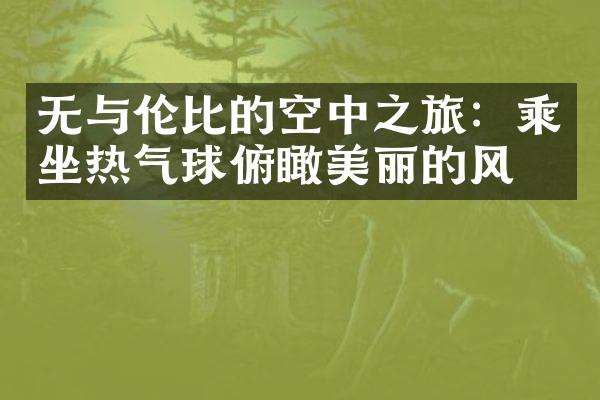 无与伦比的空中之旅：乘坐热气球俯瞰美丽的风景