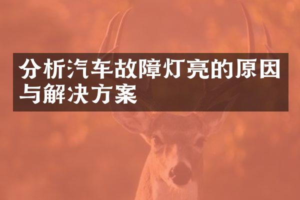 分析汽车故障灯亮的原因与解决方案