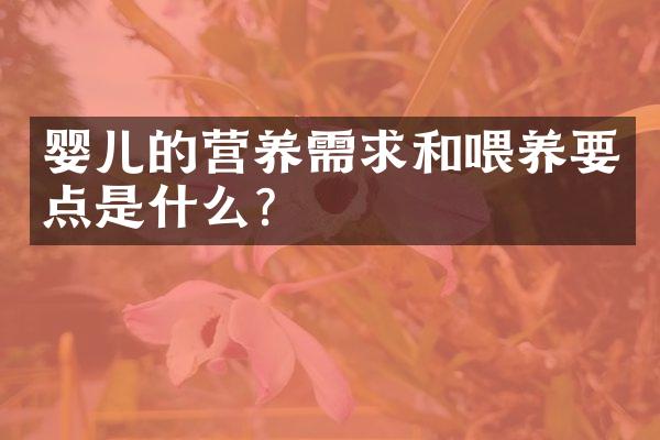 婴儿的营养需求和喂养要点是什么？