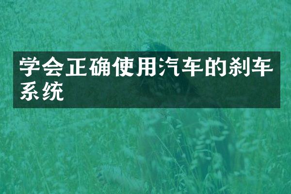 学会正确使用汽车的刹车系统