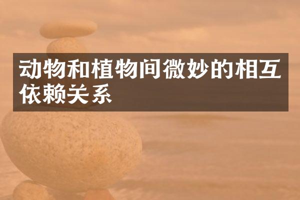 动物和植物间微妙的相互依赖关系
