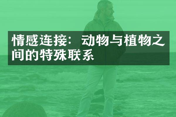 情感连接：动物与植物之间的特殊联系