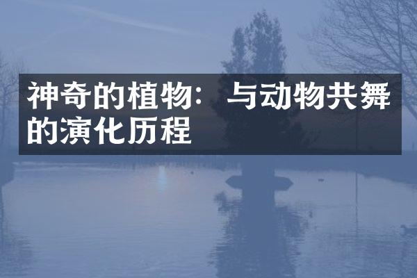 神奇的植物：与动物共舞的演化历程
