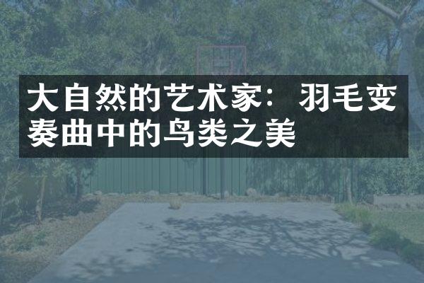 大自然的艺术家：羽毛变奏曲中的鸟类之美