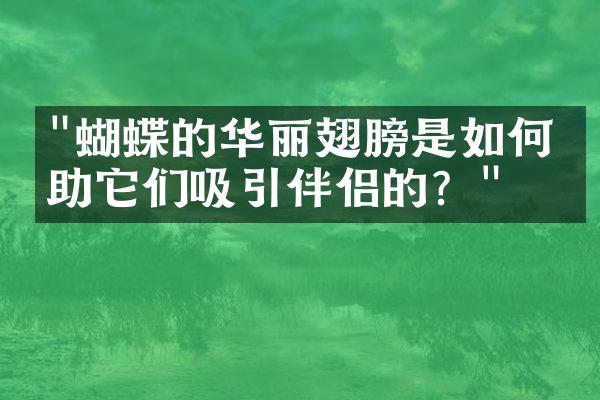 "蝴蝶的华丽翅膀是如何帮助它们吸引伴侣的？"