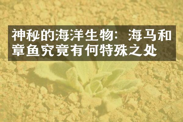 神秘的海洋生物：海马和章鱼究竟有何特殊之处？