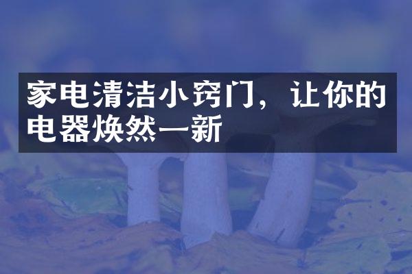 家电清洁小窍门，让你的电器焕然一新