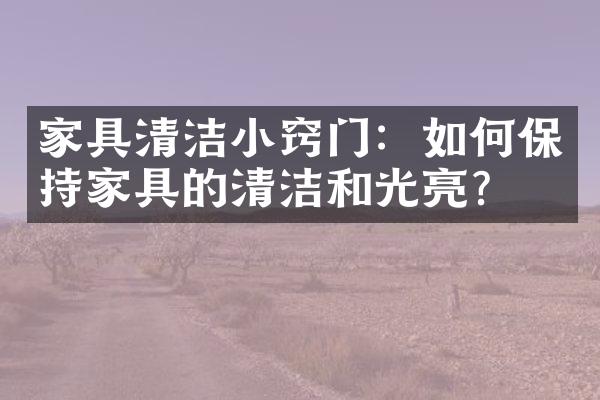 家具清洁小窍门：如何保持家具的清洁和光亮？