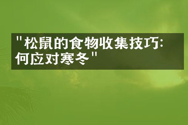 "松鼠的食物收集技巧：如何应对寒冬"