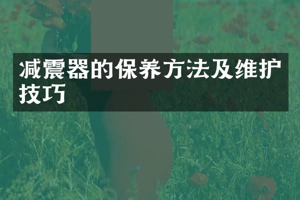 减震器的保养方法及维护技巧