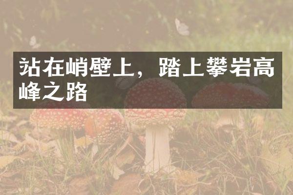 站在峭壁上，踏上攀岩高峰之路
