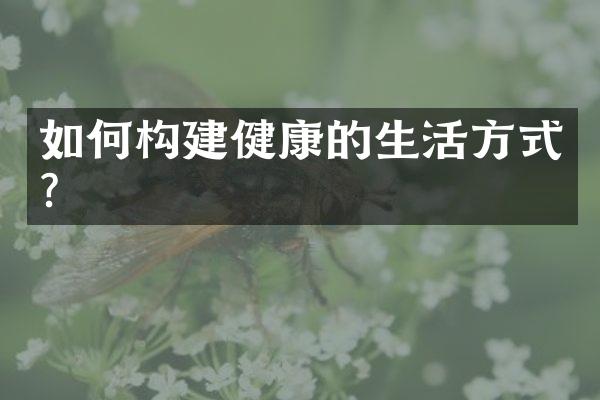 如何构建健康的生活方式？