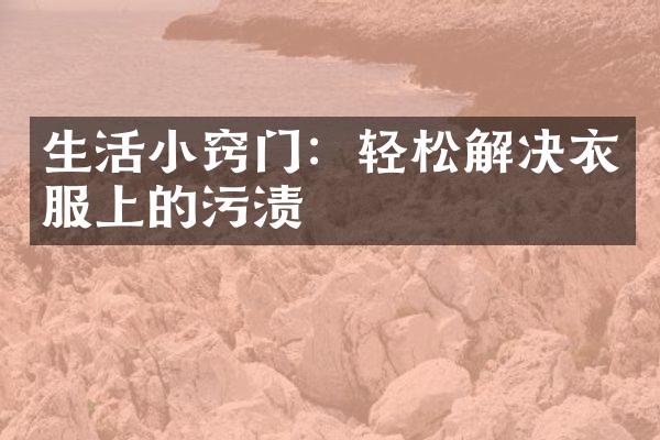 生活小窍门：轻松解决衣服上的污渍