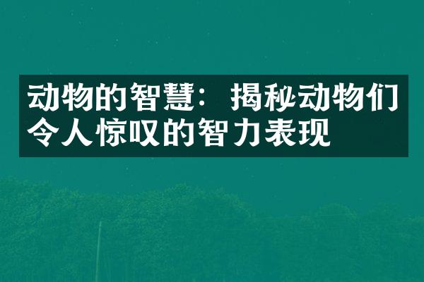 动物的智慧：揭秘动物们令人惊叹的智力表现