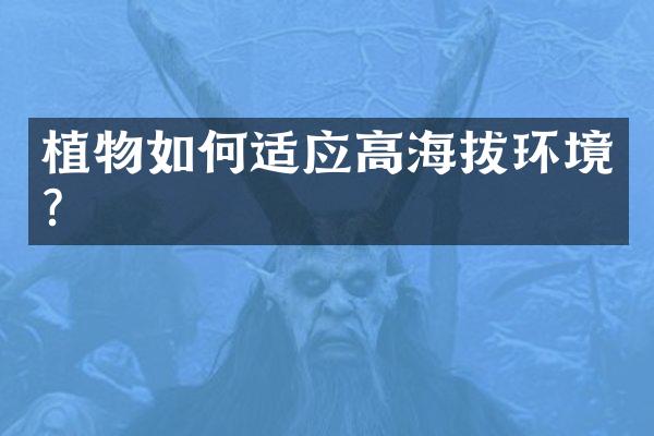 植物如何适应高海拔环境？