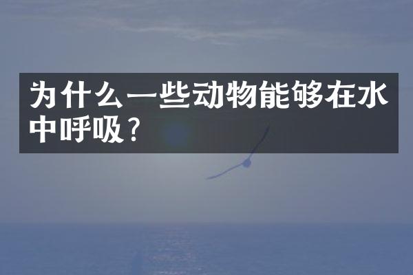 为什么一些动物能够在水中呼吸？