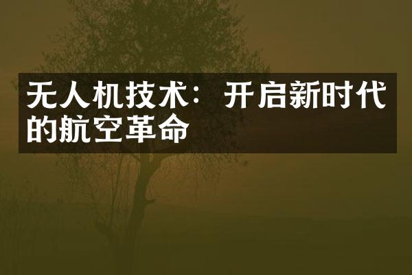 无人机技术：开启新时代的航空革命