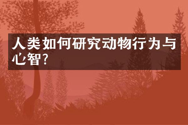 人类如何研究动物行为与心智？