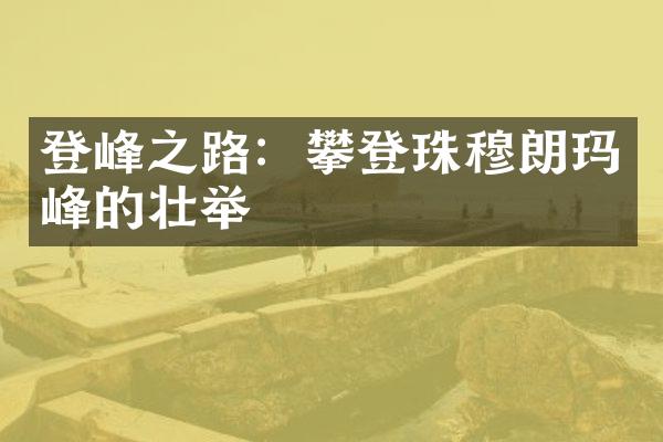 登峰之路：攀登珠穆朗玛峰的壮举