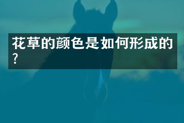 花草的颜色是如何形成的？