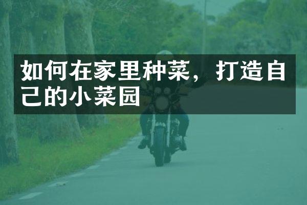 如何在家里种菜，打造自己的小菜园